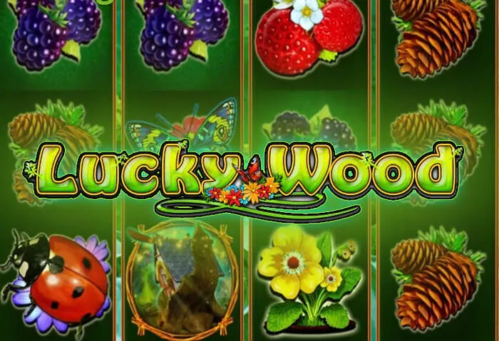 Gratis Miami Club Casino Bonus ohne Einzahlung sichern.