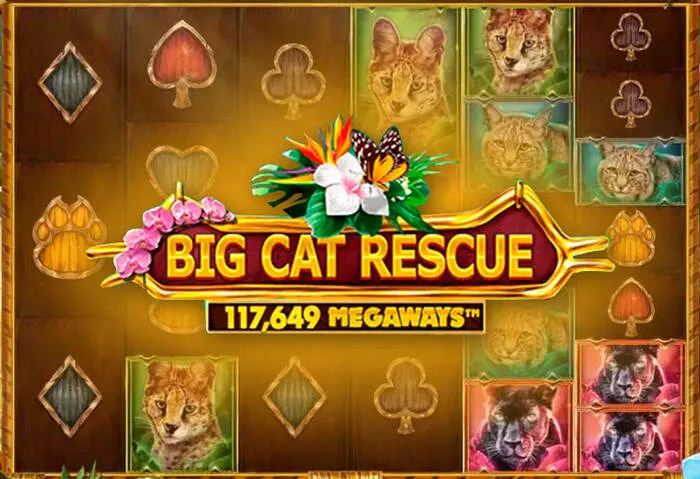 Grafica slot machine vibrante: Analisi Dettagliata del Bonus di Benvenuto Miami Club Casino.
